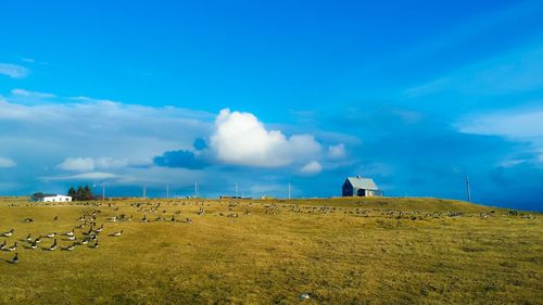 Scenic view of landscape against blue sky