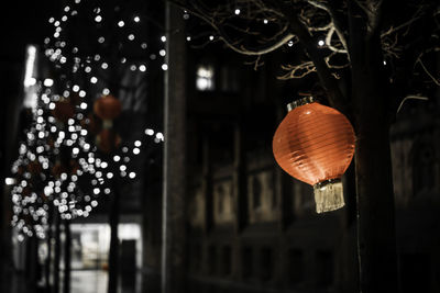 Low angle view of illuminated tree at night