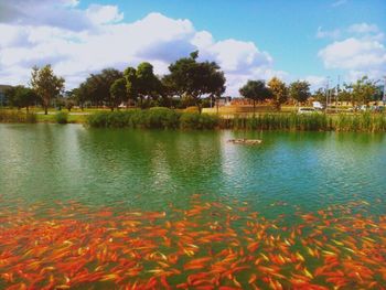 Scenic view of lake against cloudy sky