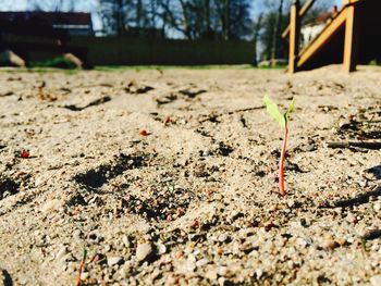 Surface level of built structure