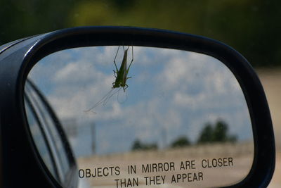 Reflection of car on glass window