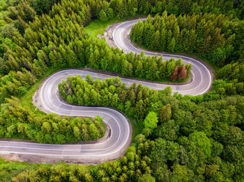 High angle view of road amidst trees