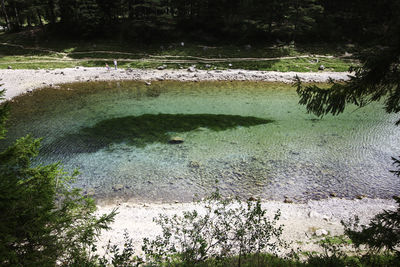 High angle view of lake amidst trees in forest