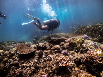 Full length of woman scuba diving undersea
