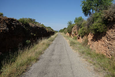 Road amidst trees against clear sky