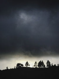 Low angle view of silhouette trees against sky
