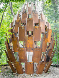 Close-up of tree in forest