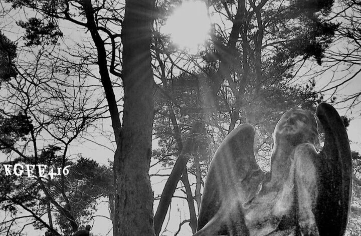 tree, low angle view, branch, tree trunk, sunlight, sunbeam, bare tree, day, outdoors, human representation, sun, statue, nature, lens flare, sky, sculpture, art and craft, sunny, clear sky