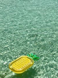 High angle view of pineapple float in sea