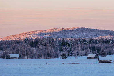 Scenic view of snow covered field against sky at sunset