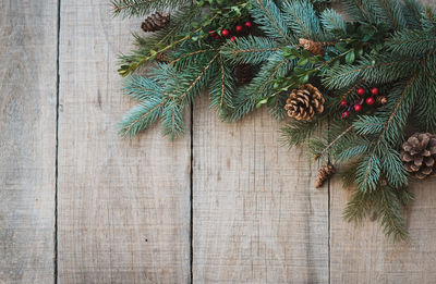 Winter greenery, pinecones and berries against rustic wood backdrop.