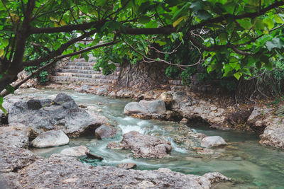 Rocks by river in forest