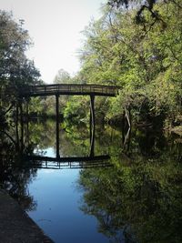 Reflection of trees in lake against sky