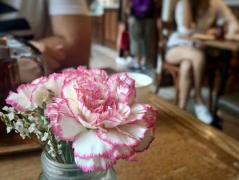 Close-up of pink flowers on table