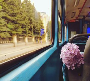 Pink flowers seen through train window