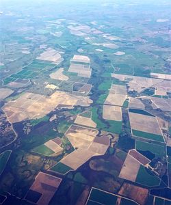 High angle view of agricultural field