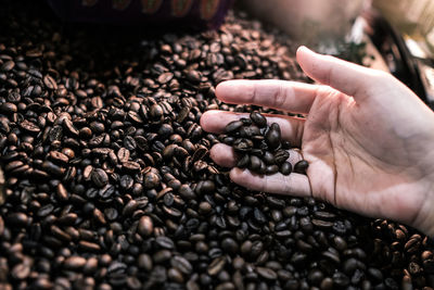 Cropped image of hand holding coffee beans