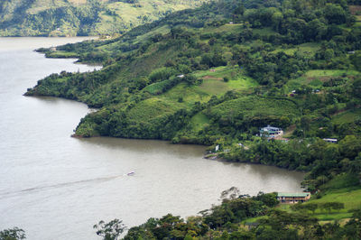 High angle view of river amidst trees in forest