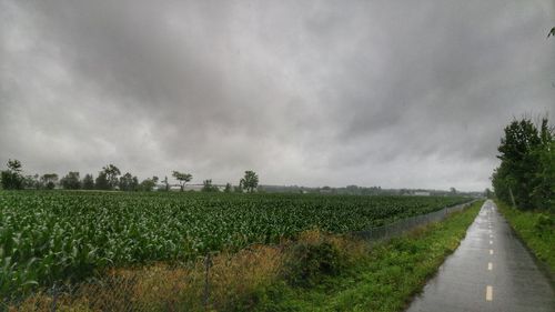 Road passing through field against cloudy sky