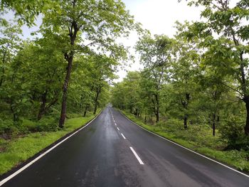 Empty road along trees in forest