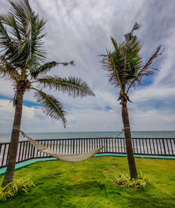 Palm trees by sea against sky