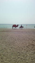 Man on beach against clear sky