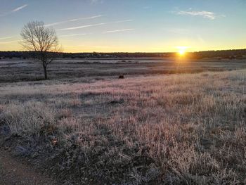 Scenic view of field against sky during sunset