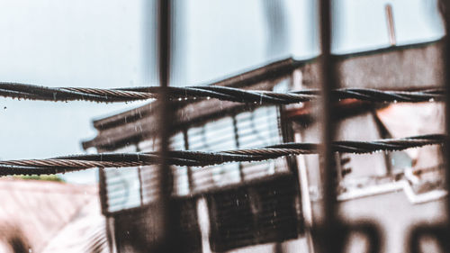 Close-up of metal fence against blurred background