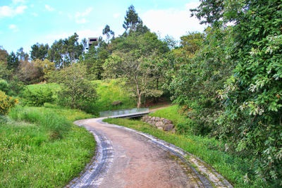 Road passing through landscape