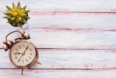 Close-up of flowering plant on table