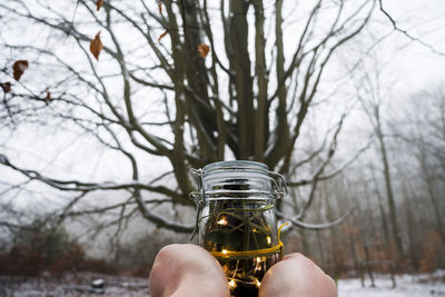 Cropped hands holding jar with illuminated string lights against bare trees during winter