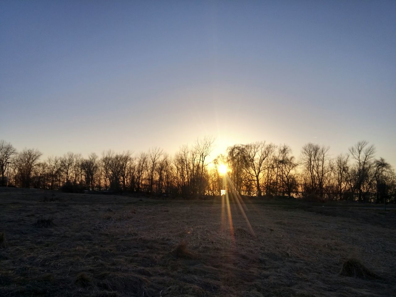 TREES ON SNOW FIELD AGAINST SKY AT SUNSET