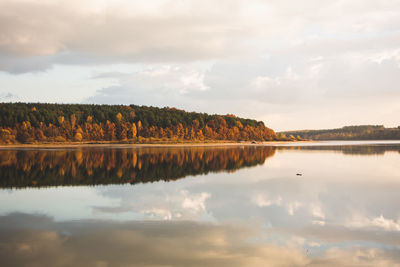 Scenic view of lake by trees against sky