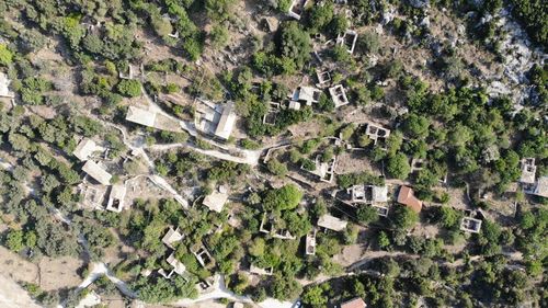 High angle view of trees and buildings