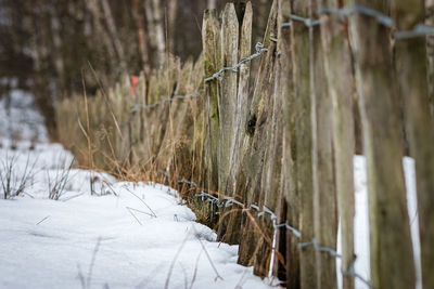 Wooden fence on snow covered field