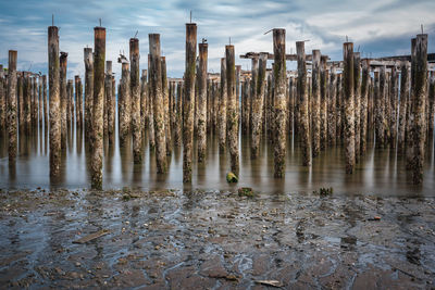 Panoramic shot of wooden posts in sea against sky