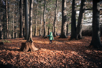 People walking in forest