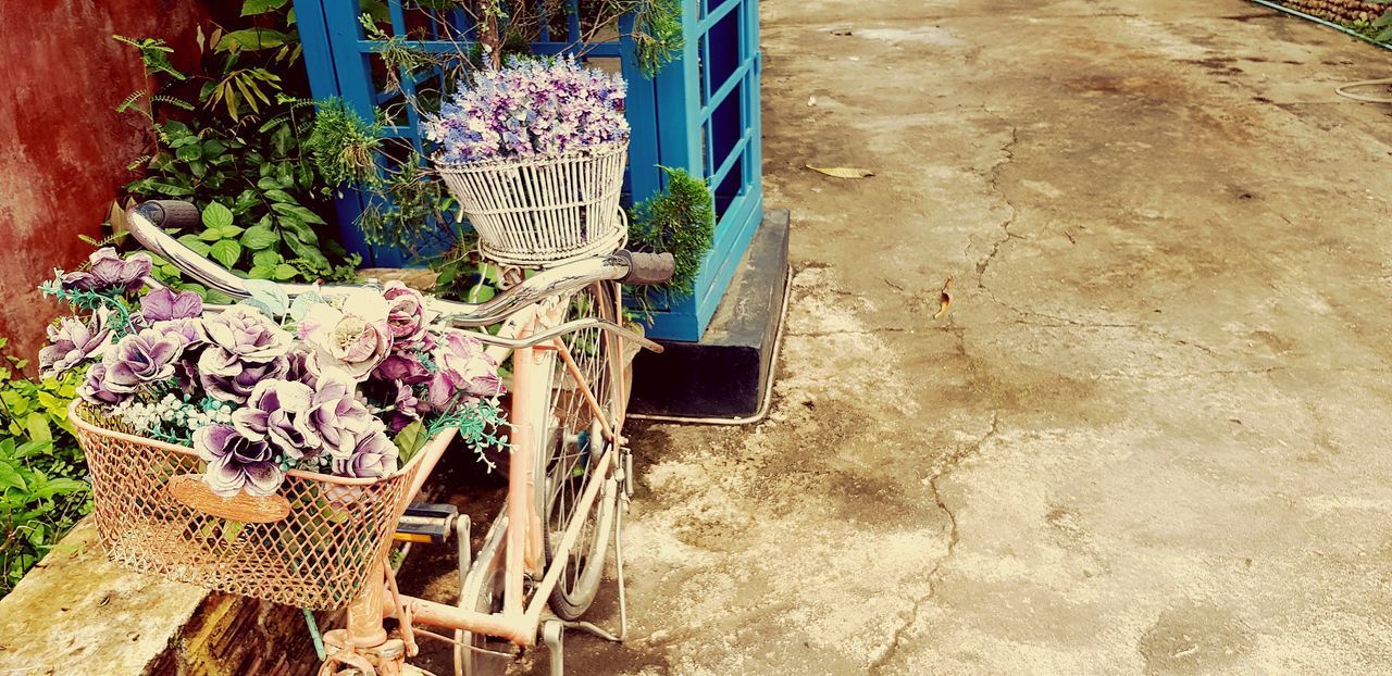 HIGH ANGLE VIEW OF POTTED PLANTS IN MARKET STALL