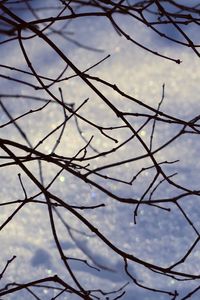 Low angle view of bare tree against sky