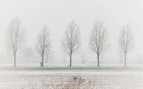 Bare trees on field against sky during winter