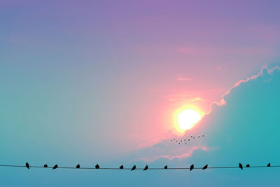 Flock of birds perching on the sky