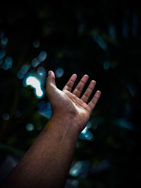 Close-up of human hand