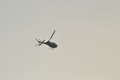 Low angle view of flying against clear sky