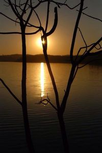 Silhouette tree by sea against sunset sky