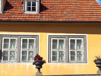 Window of building