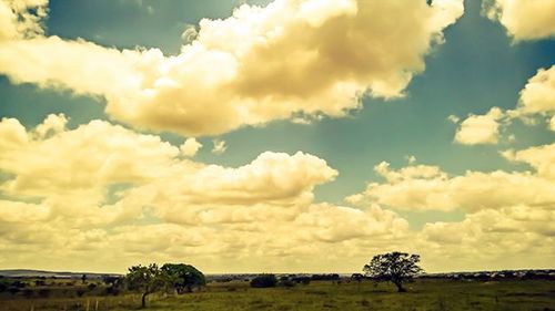 Scenic view of field against cloudy sky