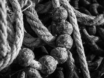 Close-up of ropes and buoys