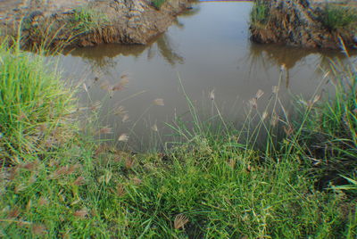 High angle view of lake