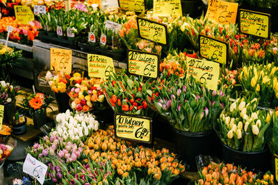 Various flowers for sale at market stall