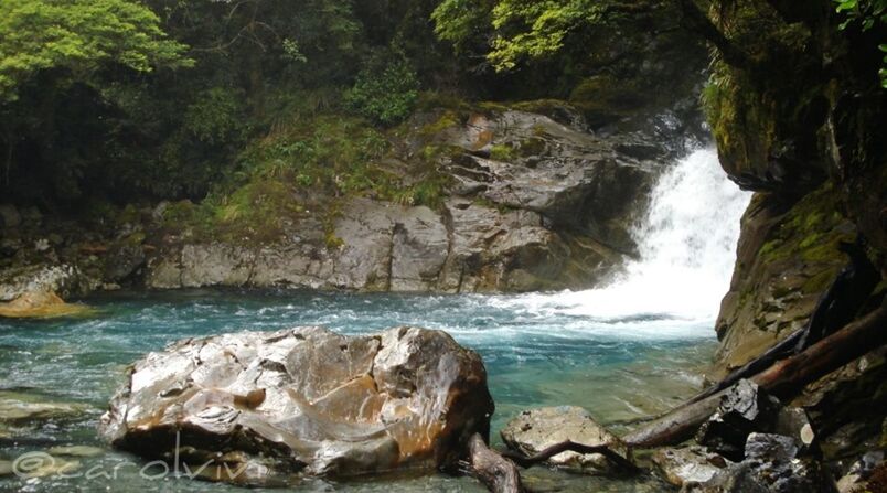 water, rock - object, scenics, beauty in nature, nature, tranquility, tranquil scene, rock formation, rock, river, idyllic, forest, flowing water, motion, tree, flowing, day, non-urban scene, stream, outdoors